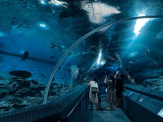 Underwater World Pattaya with Private Transfer - Thai Pass