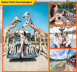 Kanchanaburi Safari Park and River Kwai Bridge Day Tour