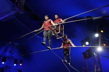 Phuket Circus Tickets - Thai Pass