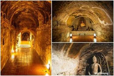 Doi Suthep and Wat Umong Night Tour in Chiang Mai - Thai Pass