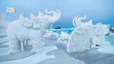 Frost Magical Ice of Siam Ticket, Pattaya - Thai Pass