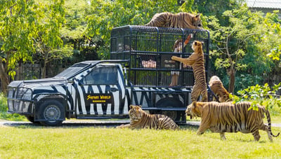 Safari World + SIC TOURS (Seat-in-Coach with Thai Guide)