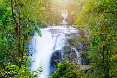 shutterstock_709802746.jpg