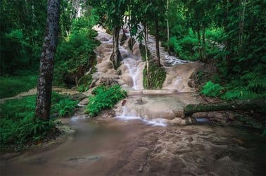 Secret Elephant Sanctuary Tours - Thai Pass