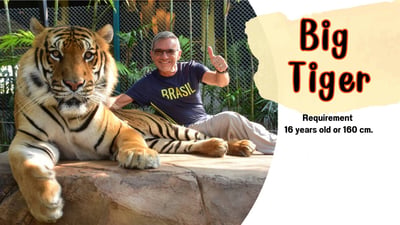 Tiger Kingdom Chiang Mai Ticket with Share Transfer