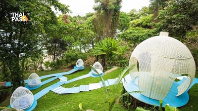 Phuket Rock Beach Swing Ticket - Thai Pass