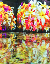 pado_theme_02.jpg