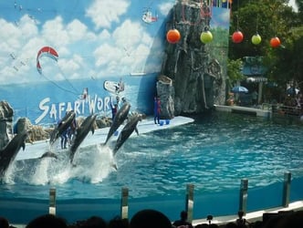 Safari World Bangkok Tickets with Private Transfers (Special Privileges at MBK Center) - Thai Pass