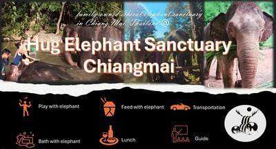 Hug Elephant Sanctuary Ticket, Chiang Mai
