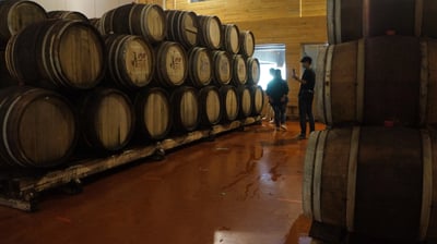 PB Valley Khao Yai Winery - Thai Pass