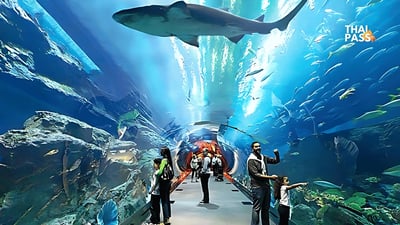 Underwater World Pattaya Ticket