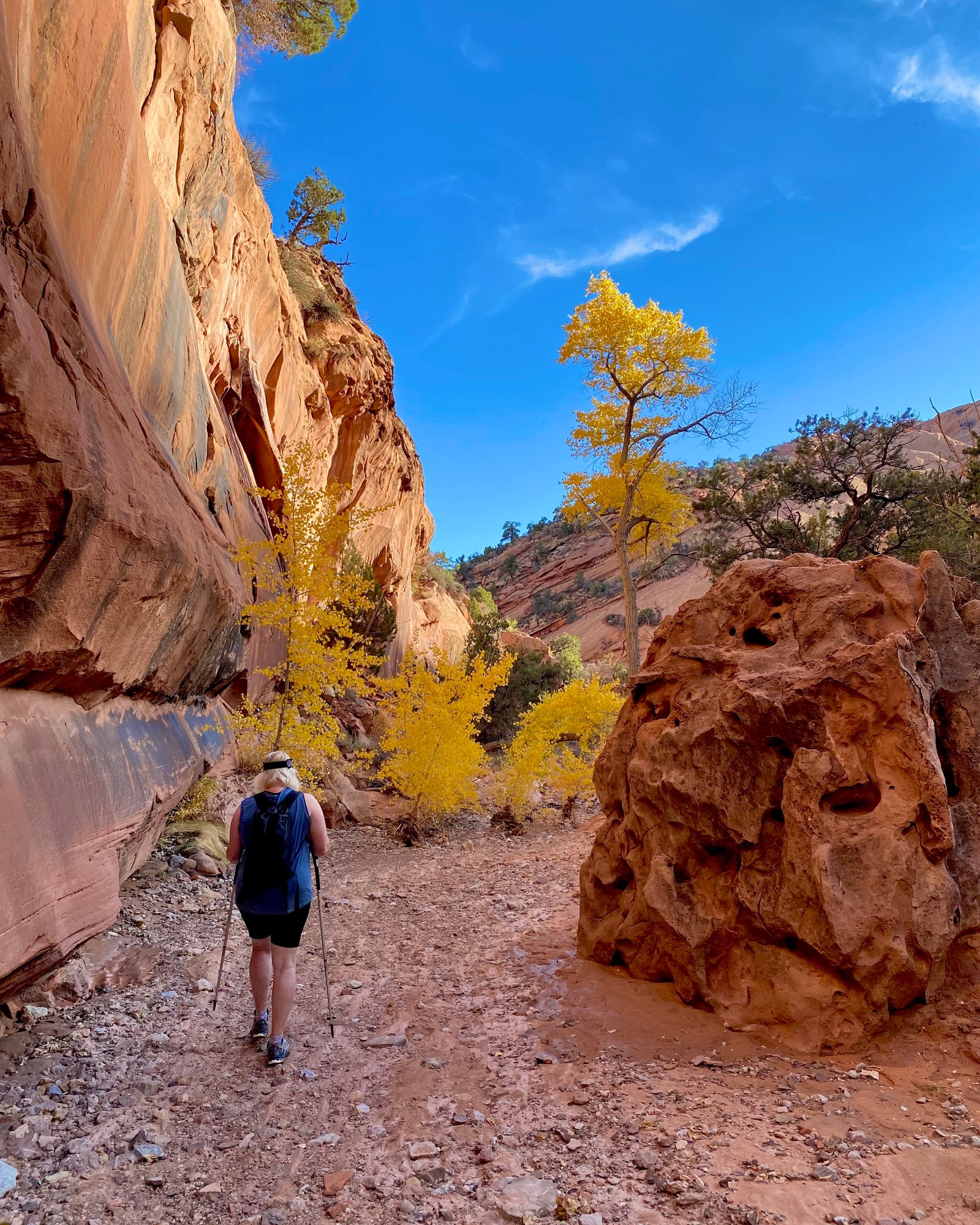Capitol Reef National Park