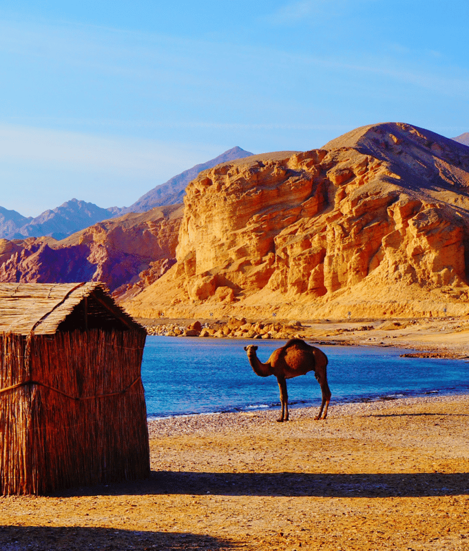 Sinai Egypt