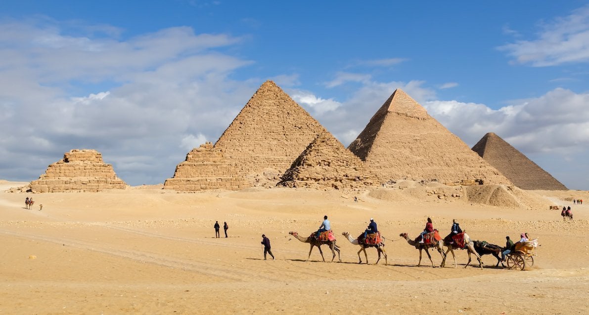 Camels In Front Of The Pyramids Of Giza