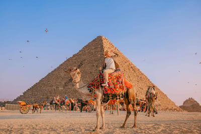 Camel Riding Pyramids Of Giza