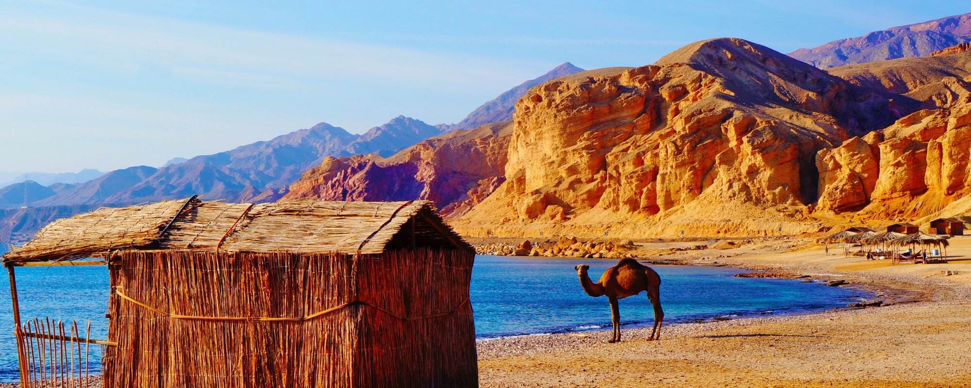 Sinai Summer Egypt