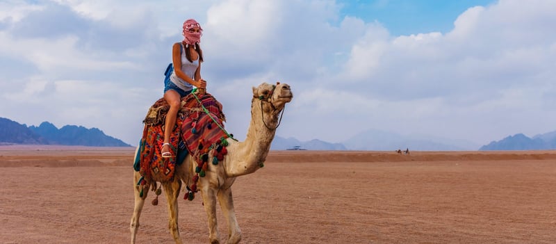 Egypt Camel Ride Sinai