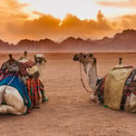 Sinai