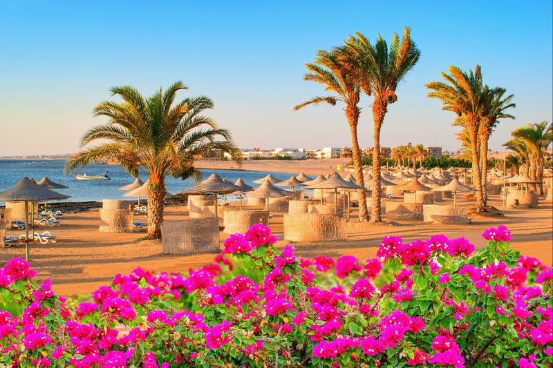 Palm Trees Beach Resort Hurghada Egypt