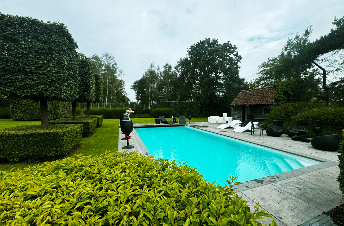 zwembad in tuin met ligstoelen en tuinhuis