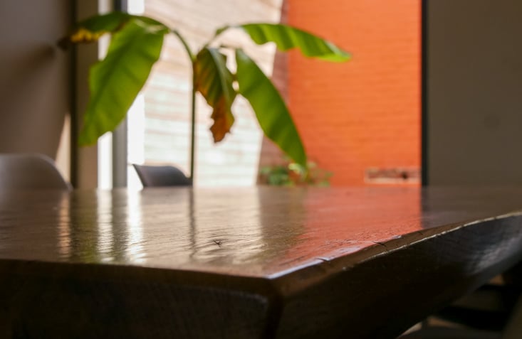 close-up van houten tafel met plant en oranje muur