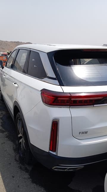 فاو  T99 - DEL - 2022