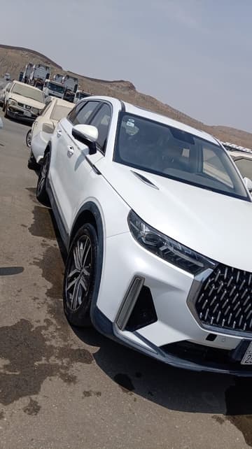 فاو  T99 - DEL - 2022