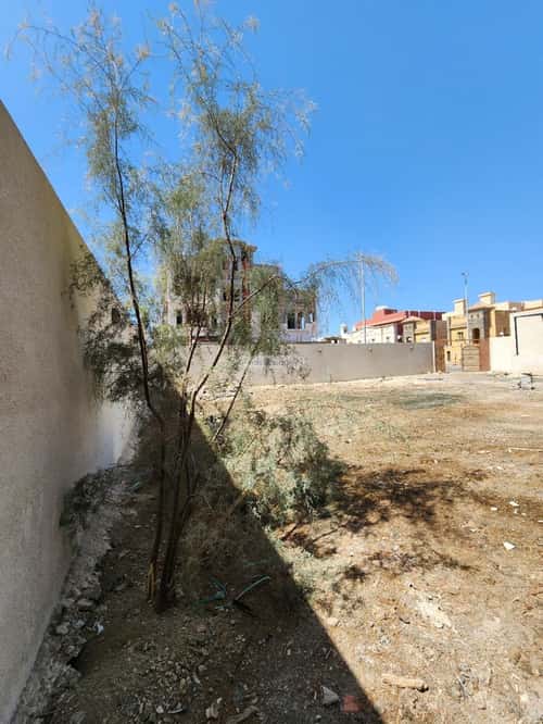 Rest House 475 SQM Facing North West on 30m Width Street Al Yaqoot, North Jeddah, Jeddah