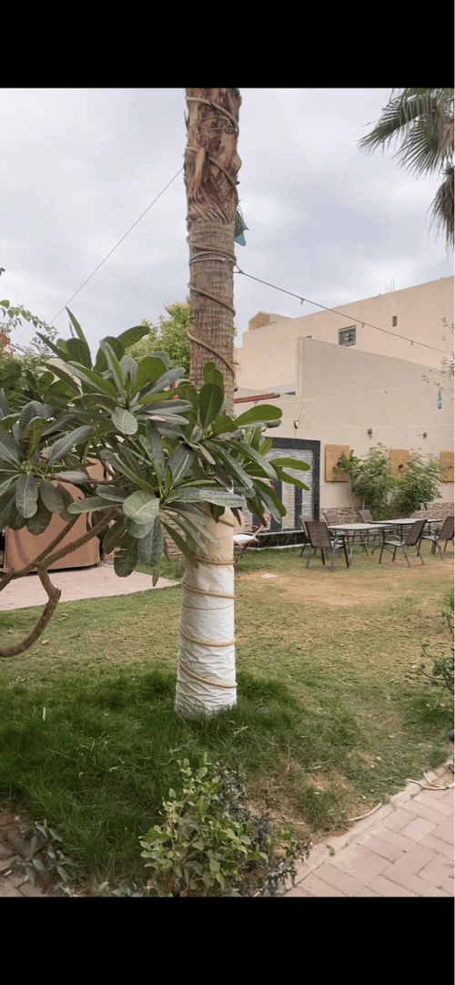 Rest House 1050 SQM Facing North East on 30m Width Street Ar-Rimal, East Riyadh, Riyadh