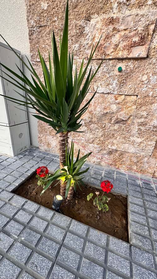 دور ب 6 غرف الغدير، أبها