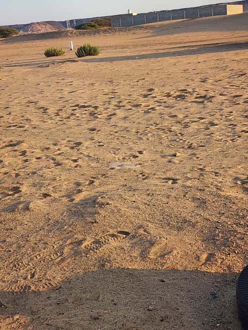 Land 300 SQM Facing West on 16m Width Street Al-Wedad, North Jeddah, Jeddah