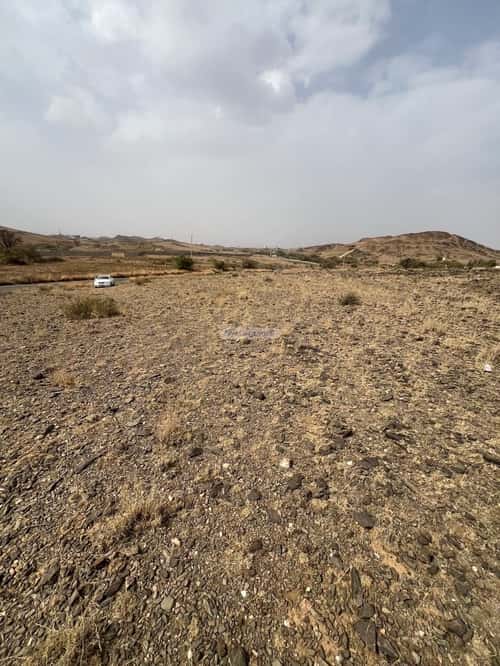 أرض 735 متر مربع جنوبية على شارع 20م السوسن، أبها