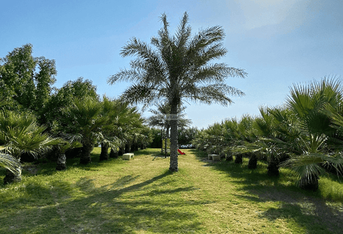 فيلا 568.52 متر مربع جنوبية غربية على شارع 18م قرطبة، رأس تنورة