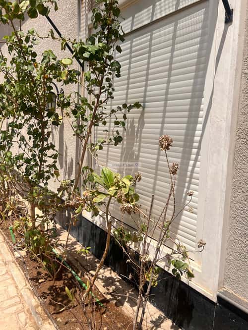 Furnished Apartment with 2 Bedrooms Al-Hamra, East Riyadh, Riyadh