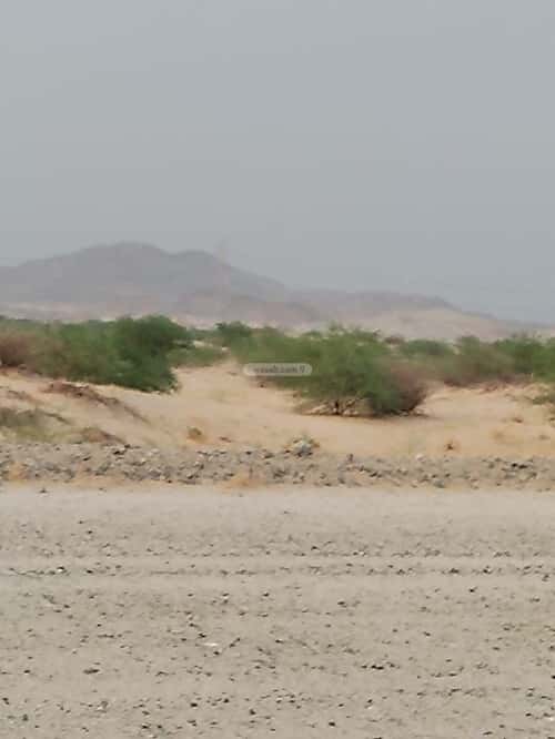 Land 600 SQM Facing North on 25m Width Street Shaabameeralgadeed, Makkah Al Mukarramah