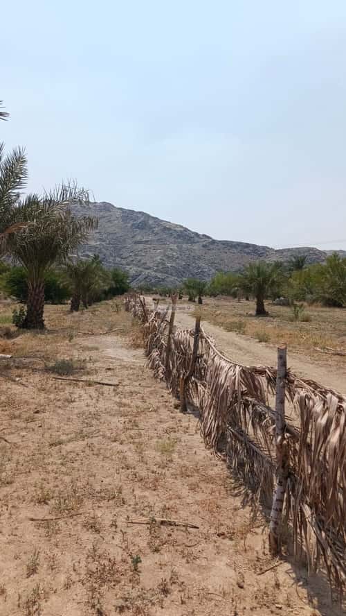 Land 112088.69 SQM Facing South on 33m Width Street Algudriahalgadeed, Makkah Al Mukarramah