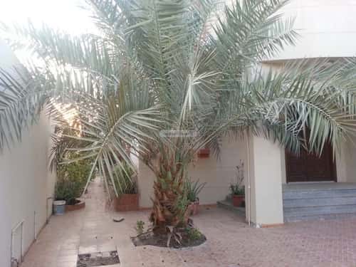 فيلا 900 متر مربع شرقية على شارع 16م أبحر الجنوبية، شمال جدة، جدة