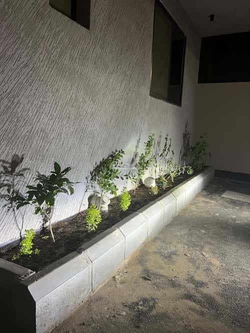 Apartment with 7 Bedrooms Al Rafaya 2, Jazan