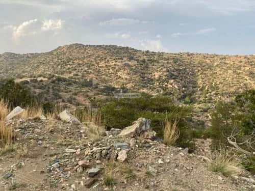 Land 53895 SQM facing 4 Streets on 15m width street الشفاء، الطائف