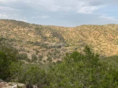 Land 53895 SQM facing 4 Streets on 15m width street الشفاء، الطائف