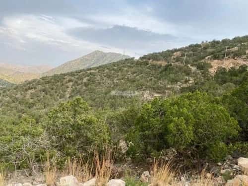 Land 53895 SQM facing 4 Streets on 15m width street الشفاء، الطائف