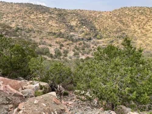 Land 53895 SQM Facing 4 Streets on 15m Width Street Al-Shifa, Alttayif