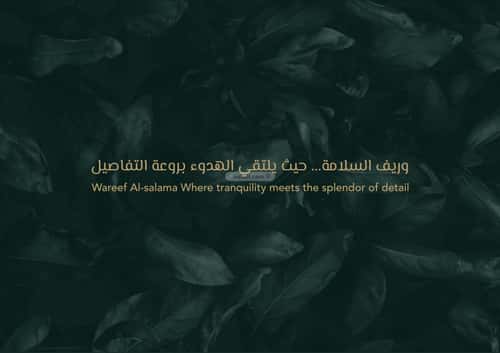 شقة ب 4 غرف السلامة، شمال جدة، جدة