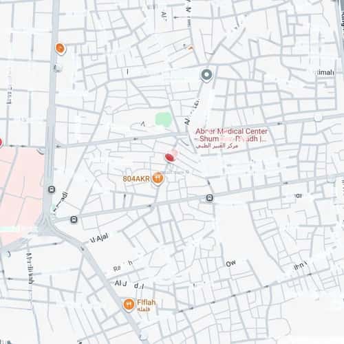 Land 197 SQM Facing North on 4.5m Width Street Ash-Shomaisi, Central Riyadh, Riyadh