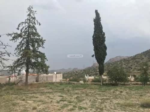 Land 4756 SQM Facing West Al-Shifa, Alttayif