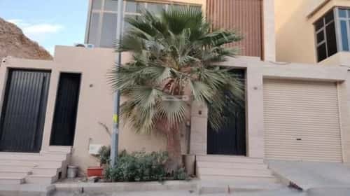 فيلا 312.5 متر مربع واجهة غربية ب 6 غرف النرجس، شمال الرياض، الرياض