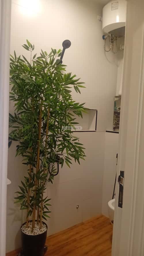 شقة ب 3 غرف السلامة، شمال جدة، جدة