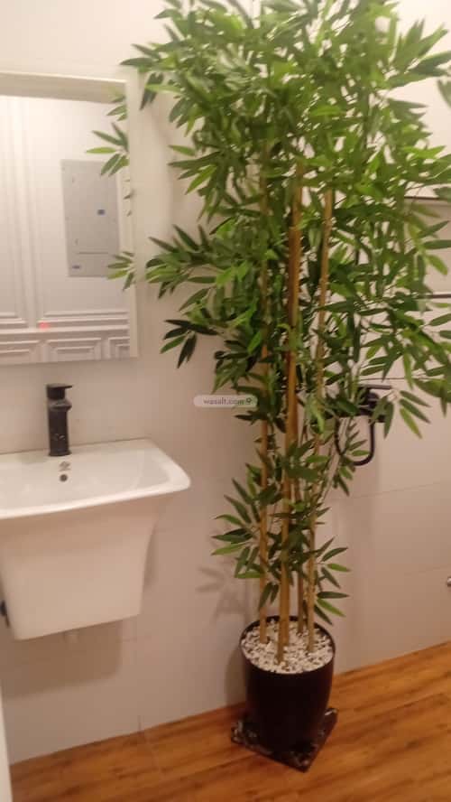 شقة ب 3 غرف السلامة، شمال جدة، جدة