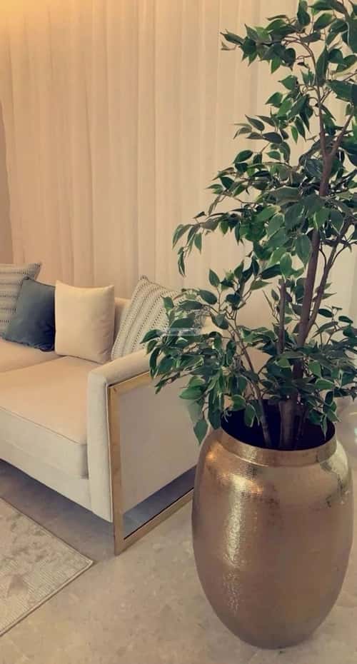 فيلا 262.5 متر مربع واجهة شمالية ب 6 غرف اللؤلؤ، شمال جدة، جدة