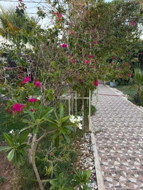 فيلا 800 متر مربع شمالية على شارع 25م الروابي، ضرية